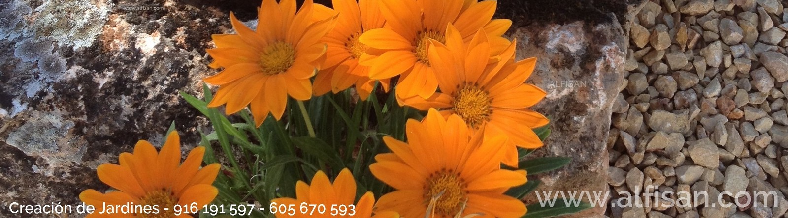 Especialistas en jardines en Madrid